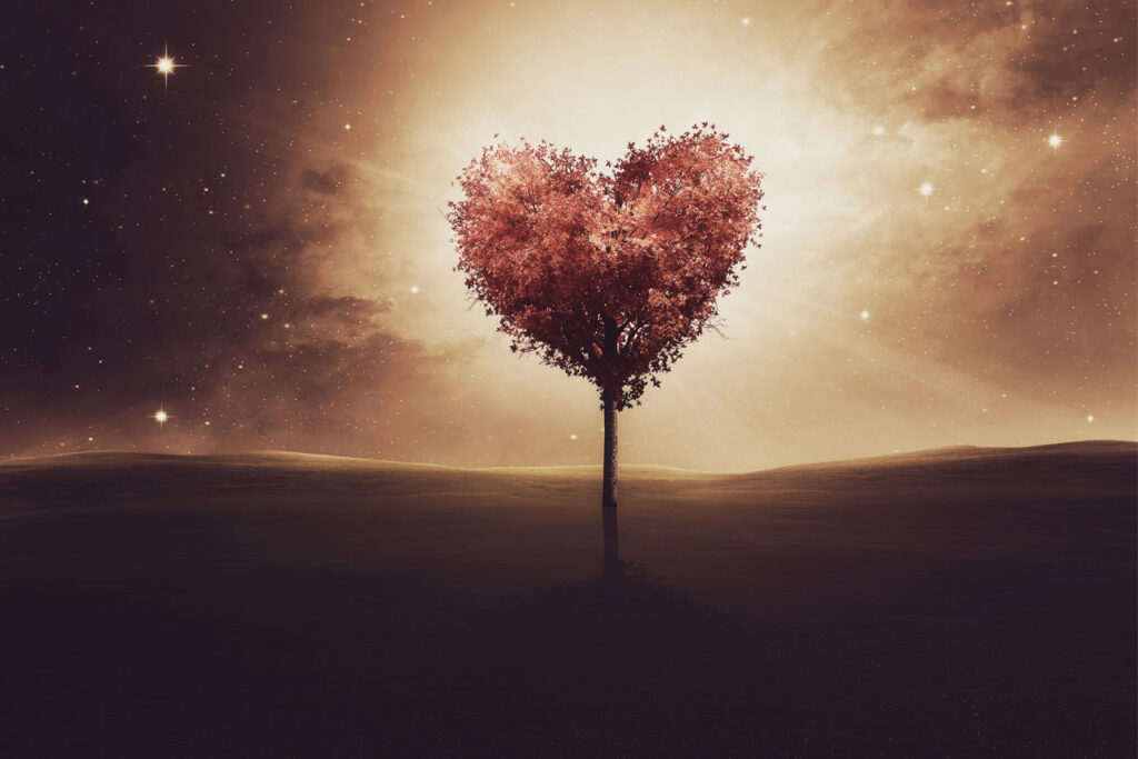 Restauració bioenergètica